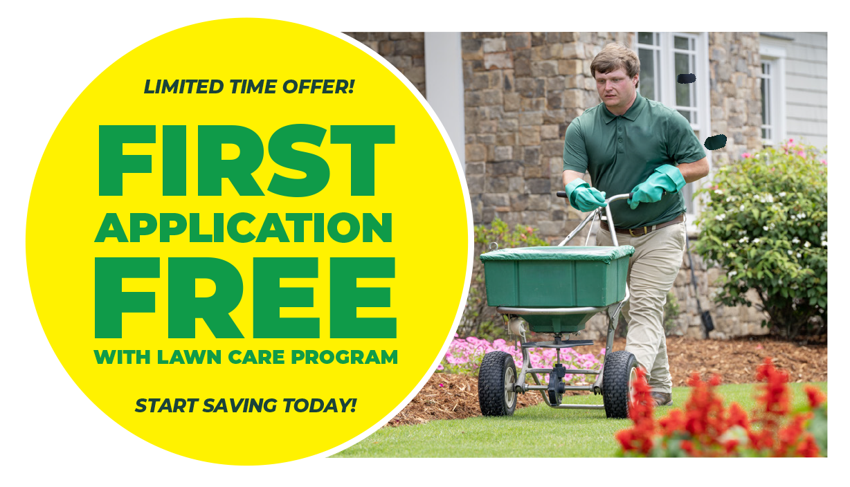 Spring Offer