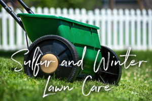 Sulfur and Winter Lawn Care