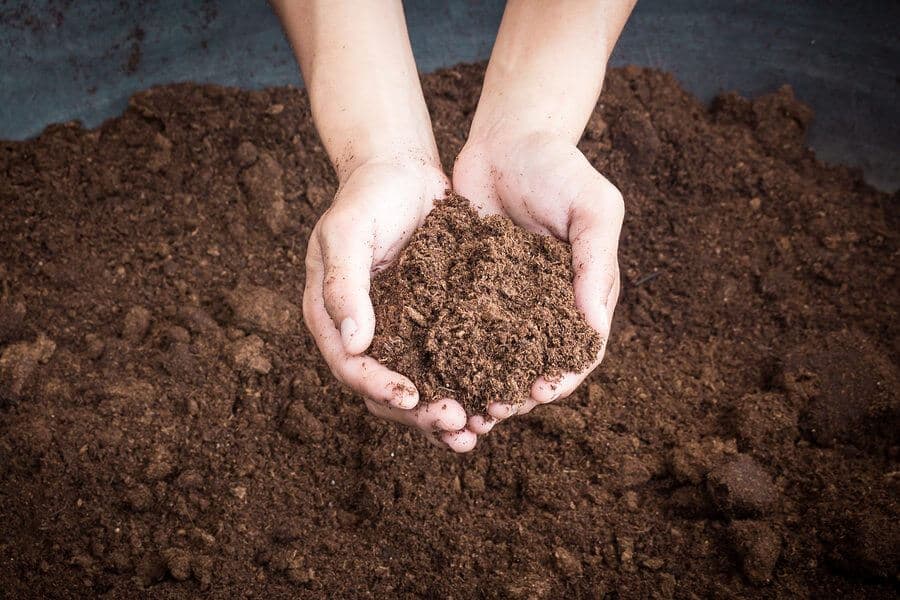 What You Need to Know about Soil pH | Emerald Lawns