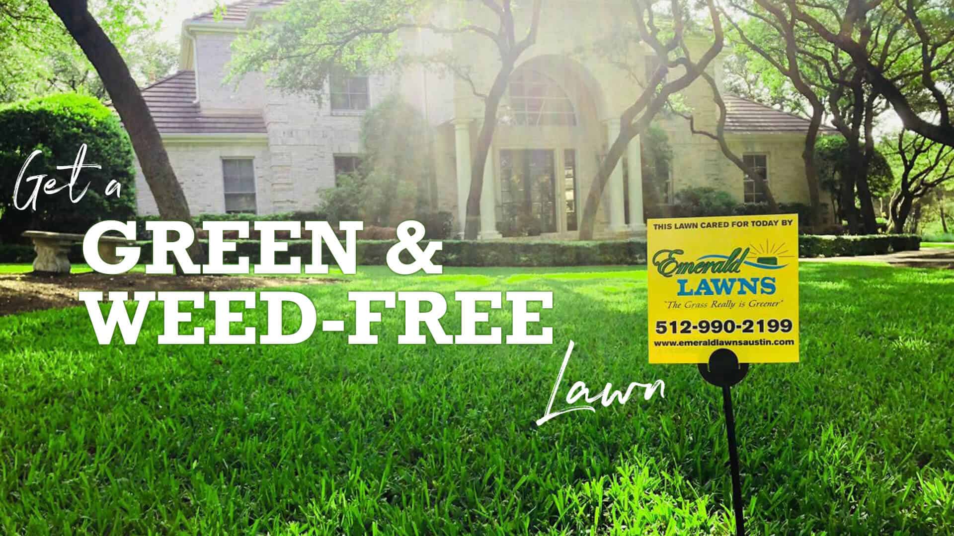 Green and Weed Free Lawn Care