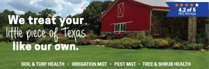 Lawn Care Treatments in Texas