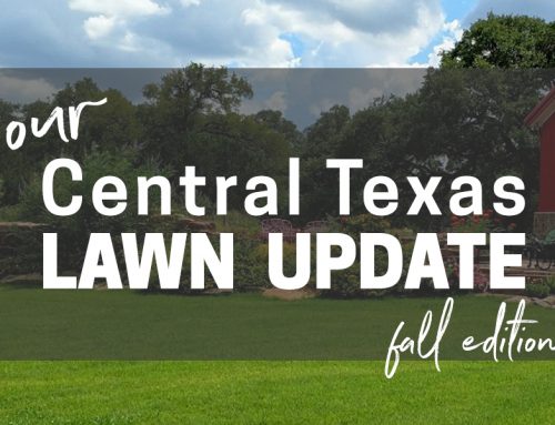 Your Fall 2020 Central Texas Lawn Update