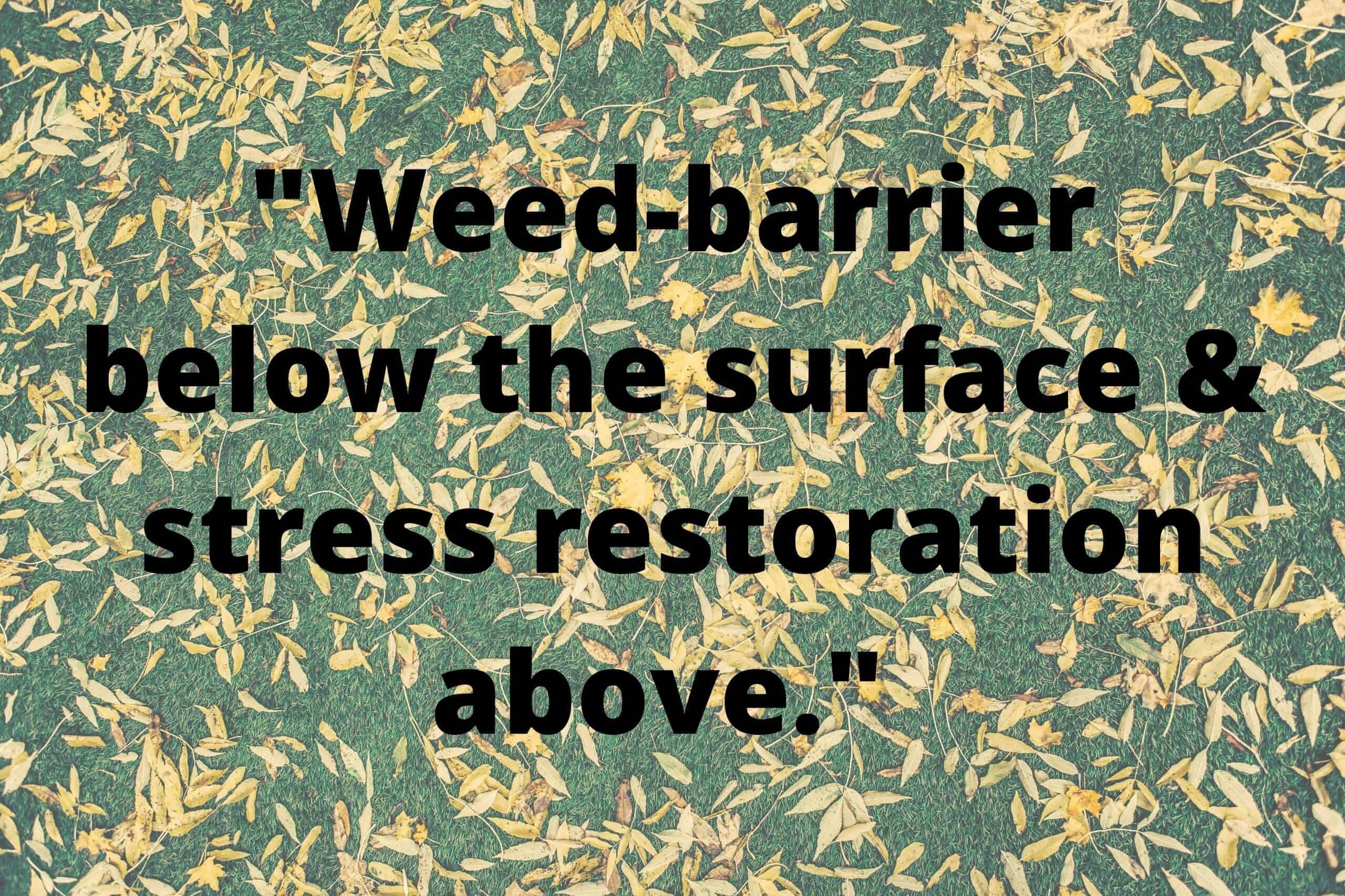 Weed Barrier and Lawn Care
