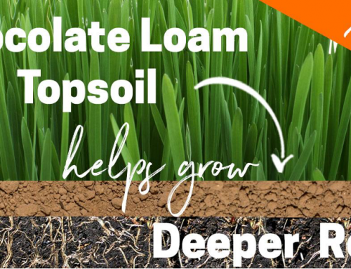 The Difference: What’s Up with Chocolate Loam and Organic Compost Topdressing?