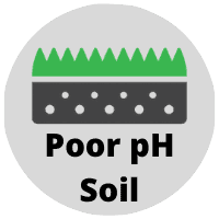 Poor pH Soil