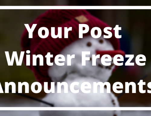 Your Post Winter Freeze Announcements