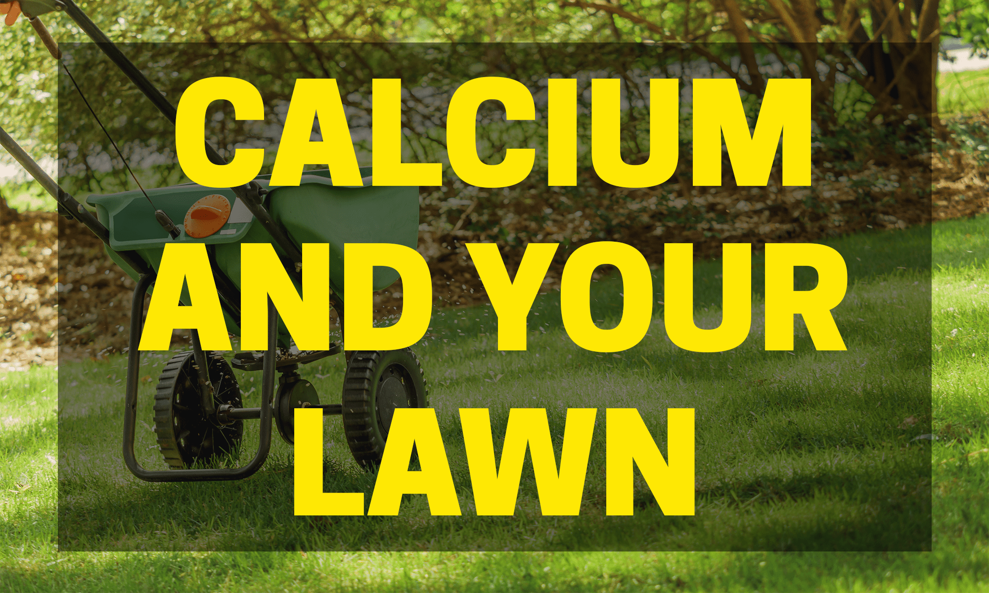 Calcium and Your Lawn