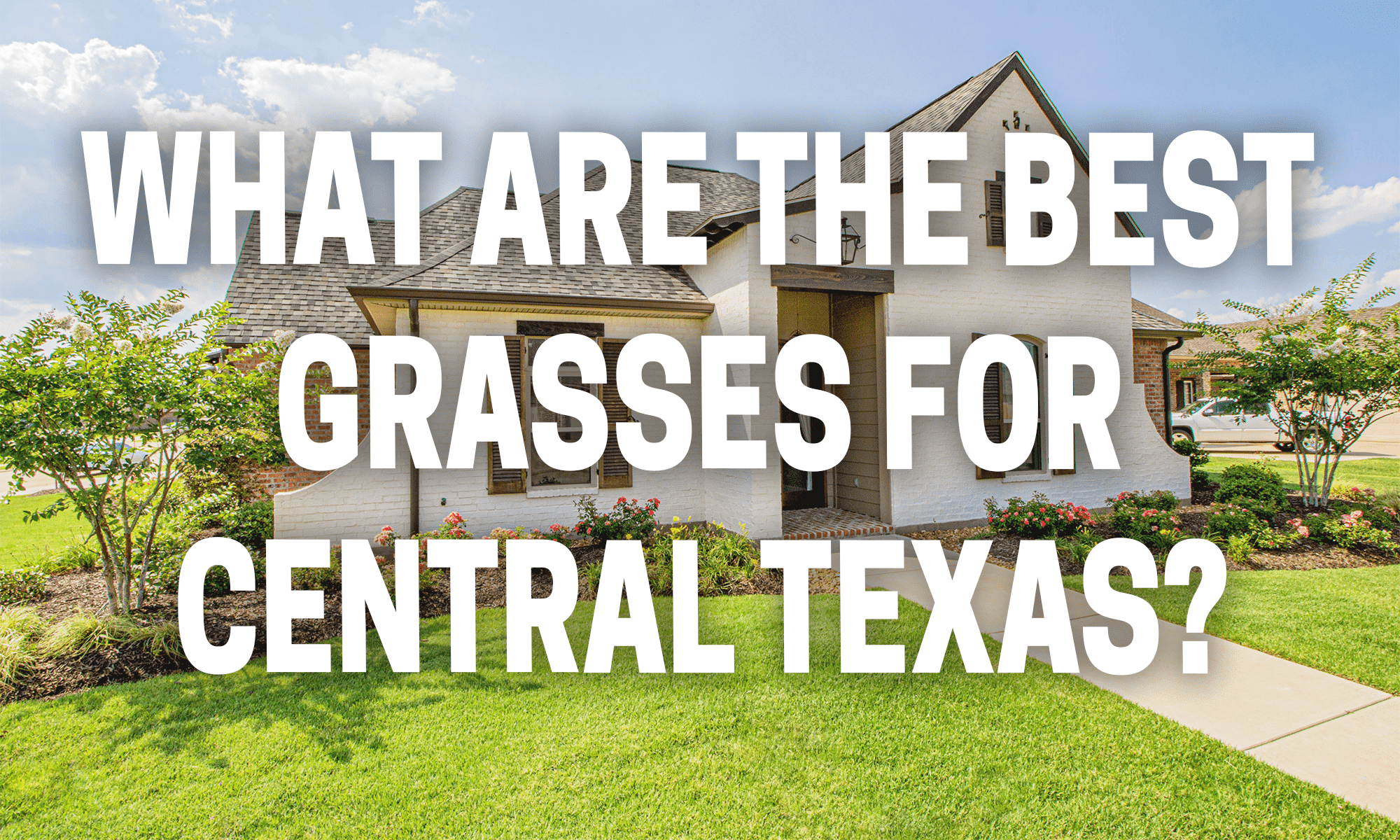 What are the best grasses for Central Texas?