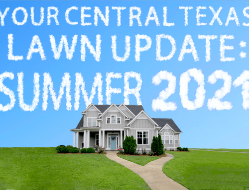 Your Central Texas Lawn Update: Summer 2021