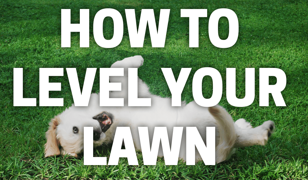How to Level Your Lawn
