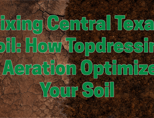 Fixing Central Texas Soil: How Topdressing & Aeration Optimizes Your Soil