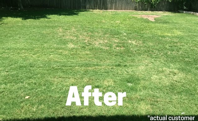 Weed Control Lawn Care Service