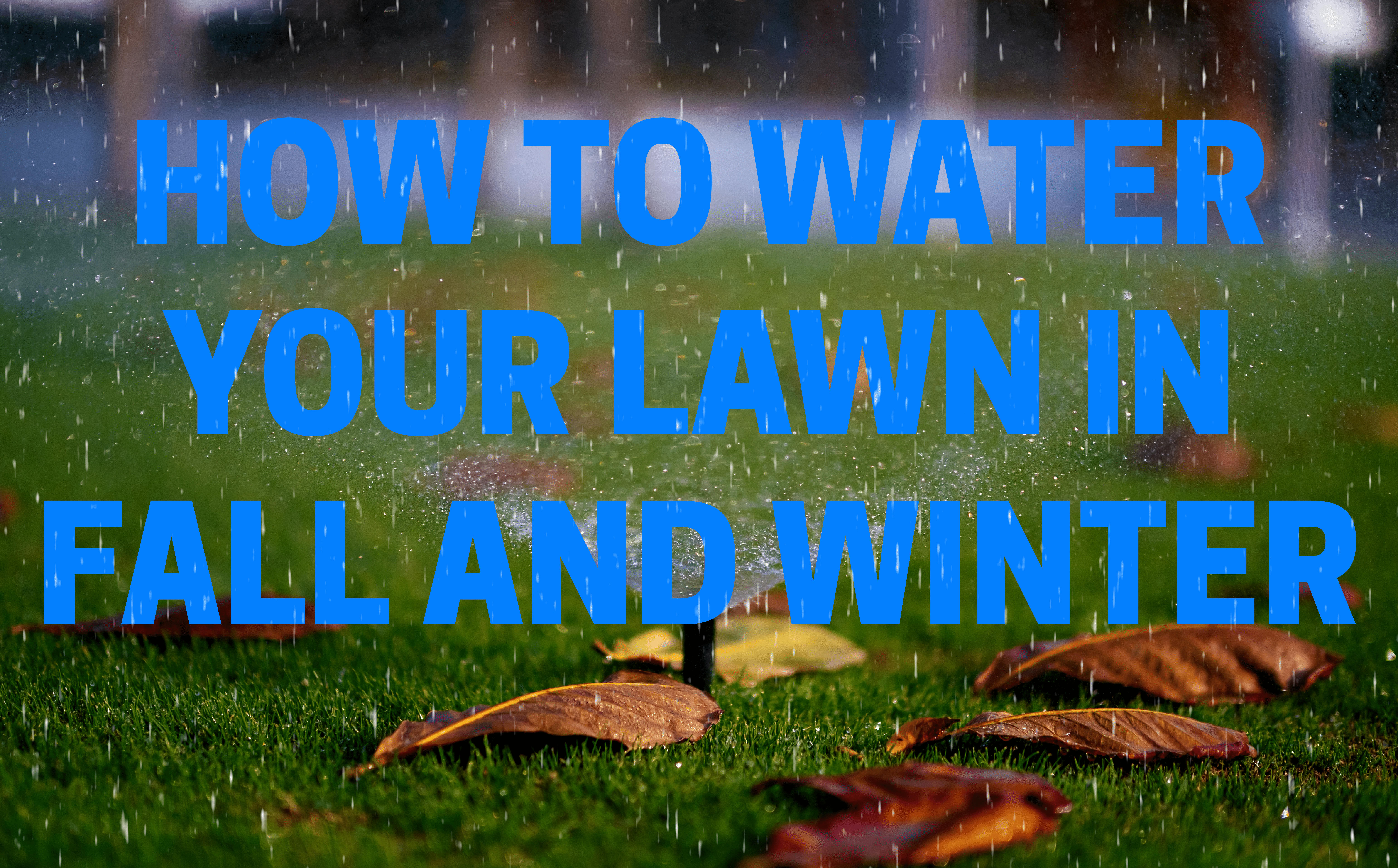 Lawn Care and Watering in Fall and Winter