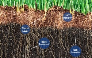 Improve Soil Lawn Care