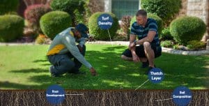 Aeration and Topdressing Lawn Care