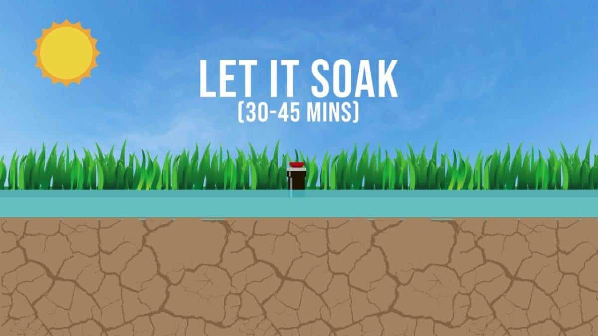 Lawn Irrigation | Let It Soak