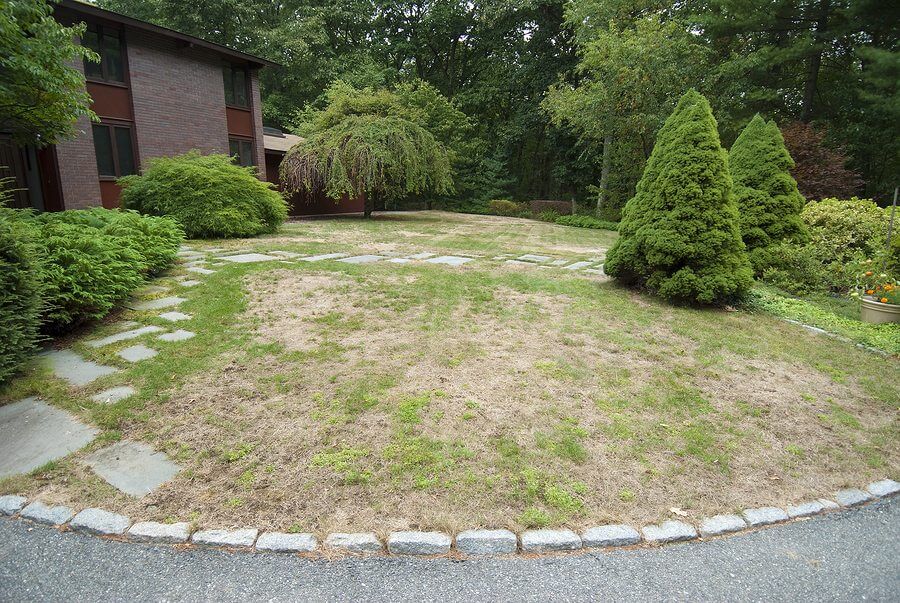 Lawn Needs Help with Topdressing