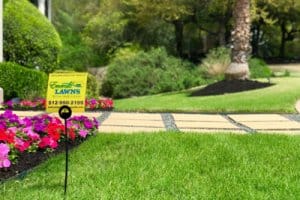 Lawn Care, Fertilization and Weed Control Near Me