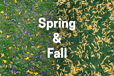 Spring and Fall Lawn Care