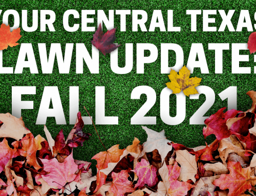 Your Central Texas Lawn Update: Fall 2021