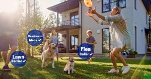 Flea and Tick Prevention for Your Lawn