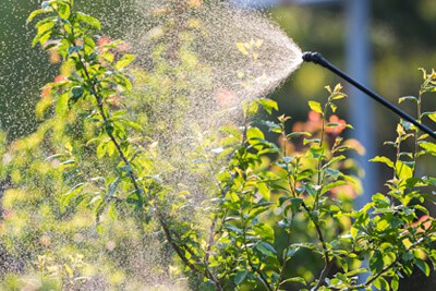 Tree Care Fertilization Spray