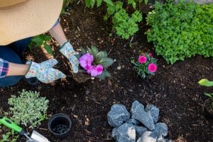 Irrigation Repair for Gardens