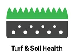 Turf & Soil 