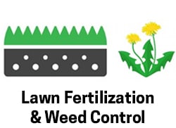 Fertilization & Weeds