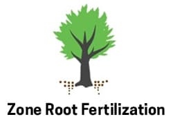 Tree Fertilization