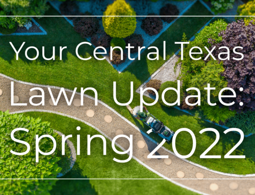 Your Central Texas Lawn Update: Spring 2022