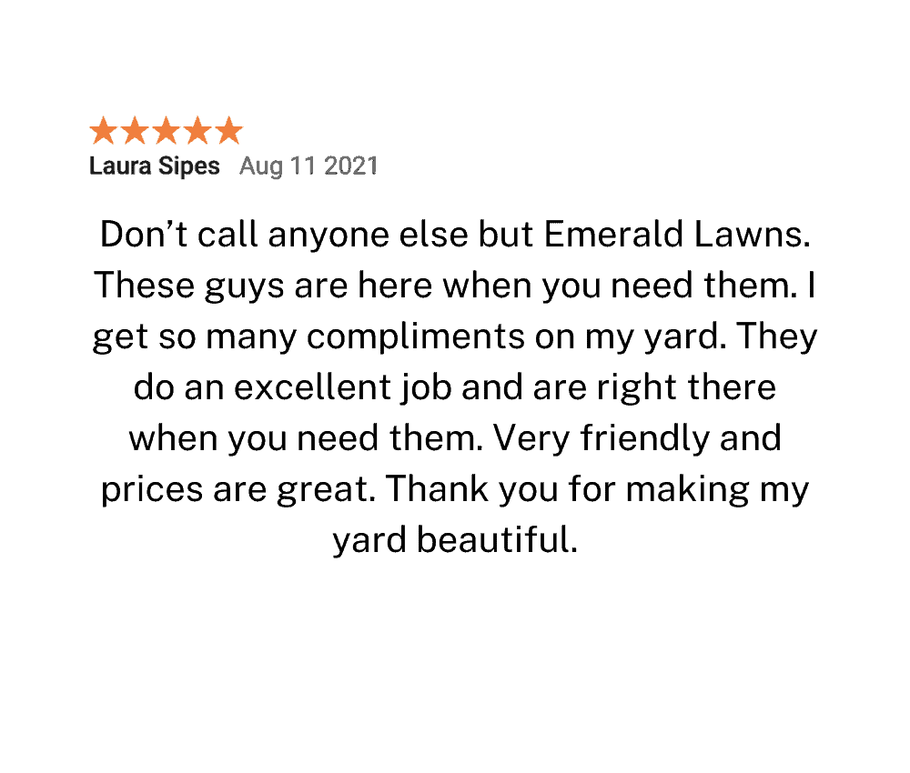 Lawn Care Reviews 5