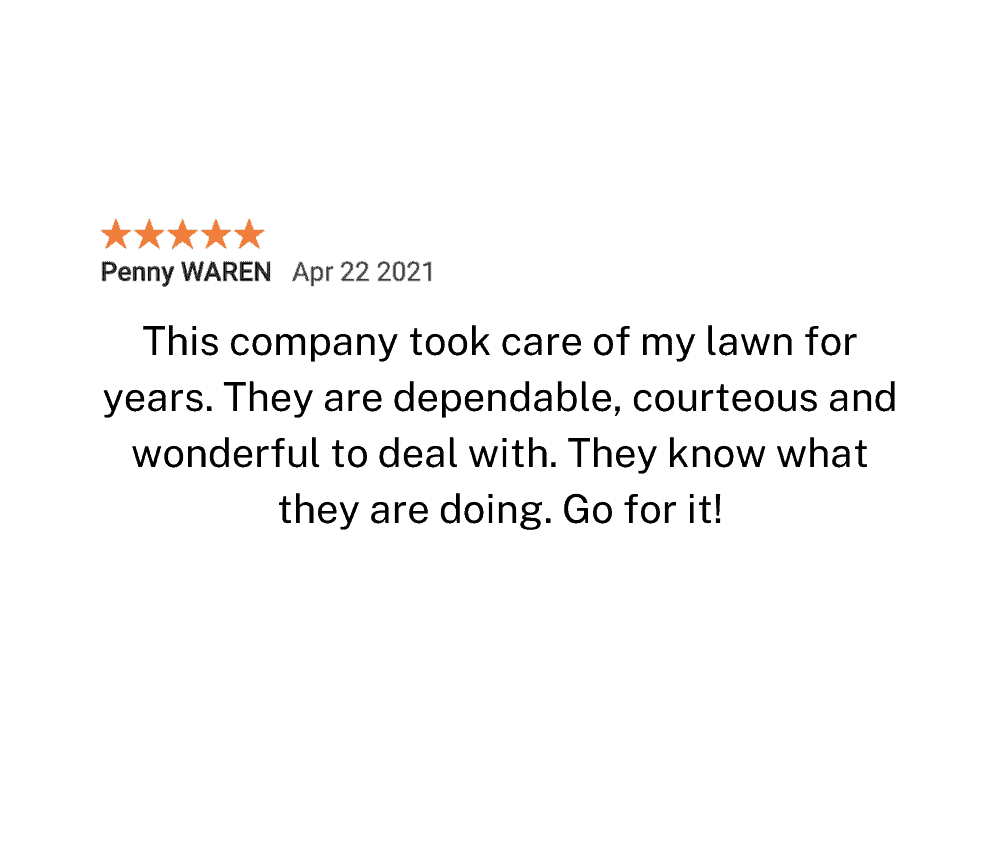 Lawn Care Review 7