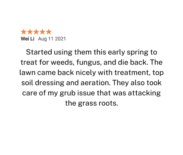 Lawn Care Review