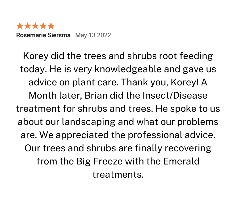 Lawn Care Review 1