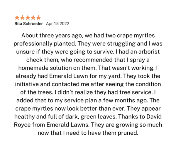 Lawn Care Review 3