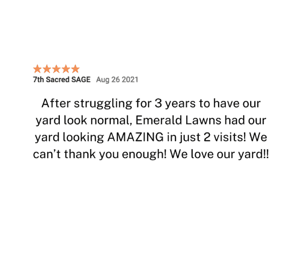Lawn Care Review 8