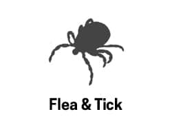 Flea & Tick