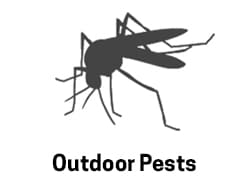 Outdoor Pests