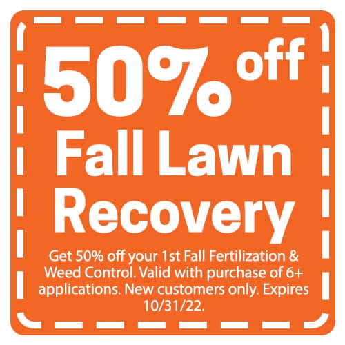 Fall Lawn Care Recovery Coupon