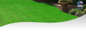 Lawn Care Fertilization Service