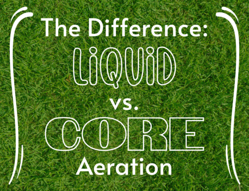 The Difference: Liquid vs. Core Aeration