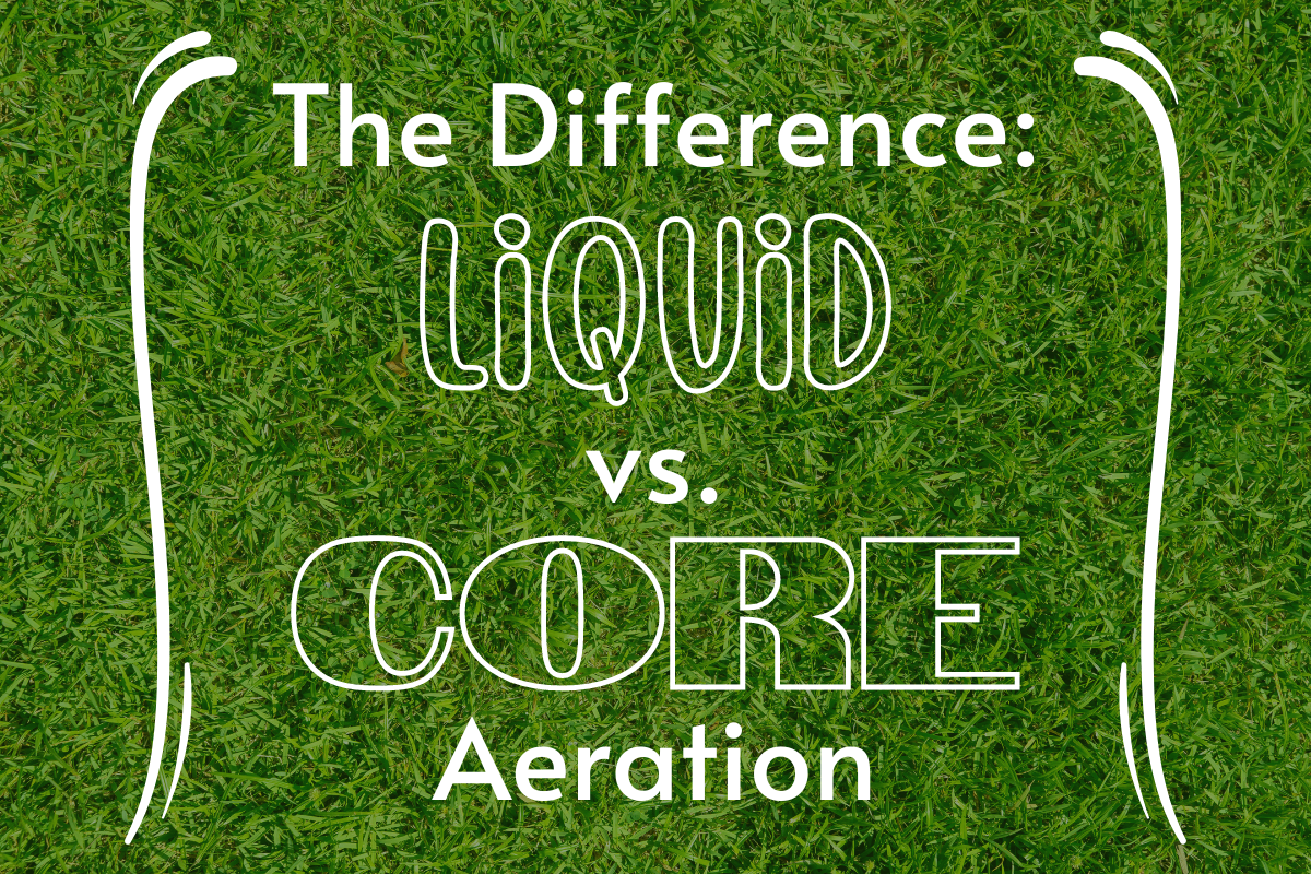 Liquid Lawn Aeration vs Core Lawn Aeration