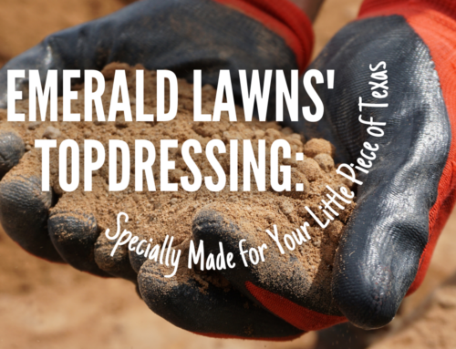 Emerald Lawns’ Topdressing: Specially Made for Your Little Piece of Texas
