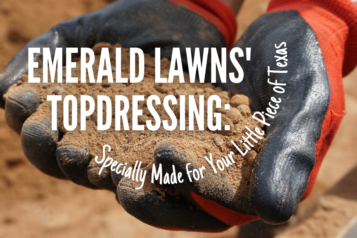 Topdressing Lawn Care
