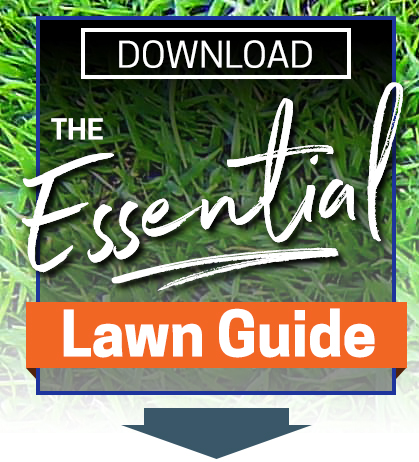 The Essential Guide to Take Your Lawn From Good to Great!