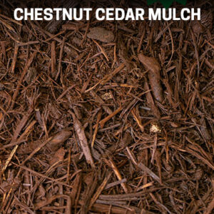 Chestnut Cedar Mulch