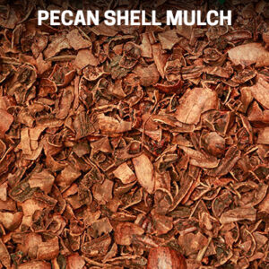 Pecan Shell Mulch