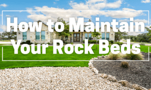 Rock Bed Lawn Maintenance