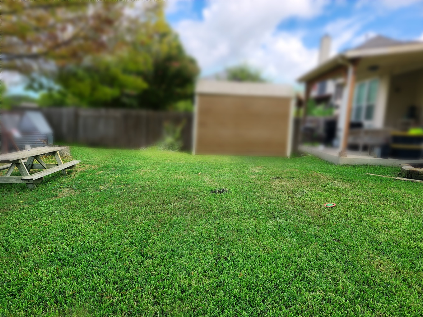 current-lawn-greener-grass
